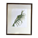 Lino Cut Artwork, Limited Signed Edition Palm Leaf Botanical PictureVintage Frog