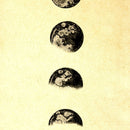 Moon Phases In Sepia Illustration Print On Canvas, Wall Hanging Decor PictureVintage FrogPictures & Prints