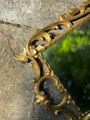 Ornate Gilt Wall Mirror With Delicate Floral MotifsVintage FrogFurniture