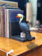 Pair of Cast Iron Antique Effect Toucan BookendsVintage FrogBrand New