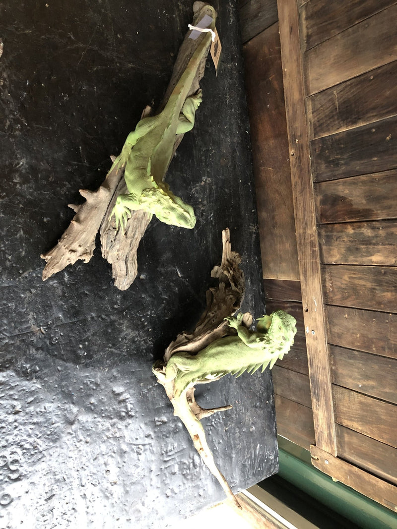 Pair of Vintage Ornamental Figures Of Iguanas Percher On Branches.Vintage FrogVintage Item