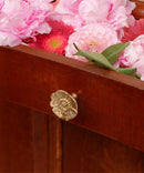 Poppy Knob, Brass Cabinet Handle, Furniture DecorDoing GoodsCabinet Handles