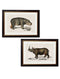 Rhino & Hippo - Referenced From 1846 IllustrationsVintage Frog T/APictures & Prints