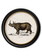 Rhino & Hippo - Round Frames - Referenced From 1846 IllustrationsVintage Frog T/APictures & Prints