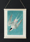 Roseate Tern Seagull from Birds of America Poster Illustration Print On Canvas, Wall Hanging Decor Picture.Vintage FrogPictures & Prints