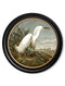 Round Framed Audubon's Heron Prints - Referenced From 1838 Hand Coloured Aubudon PrintVintage Frog T/APictures & Prints