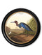 Round Framed Audubon's Heron Prints - Referenced From 1838 Hand Coloured Aubudon PrintVintage Frog T/APictures & Prints