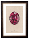Ruby Crystal Gemstone Artwork Print. Framed Healing Crystal Wall Art PictureVintage Frog T/APictures & Prints