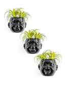 Set of Three Wall Mounted Baby Face Ceramic Plant Pot VasesVintage Frog M/RDecor