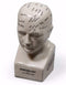 Small Antique Style Ceramic Phrenology Head Bust FigureVintage FrogBrand New