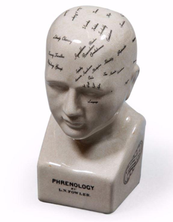 Small Antique Style Ceramic Phrenology Head Bust FigureVintage FrogBrand New