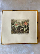 Small Limited Edition Print "Conservatory Bench" 1986 Botanical Print by David SuffVintage Frog