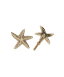 Starfish Knob, Brass Cabinet Handle, Furniture DecorDoing GoodsCabinet Handles