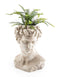 Stone Effect, Statue of David Bust Flower Pot, Planter VaseVintage FrogBrand New