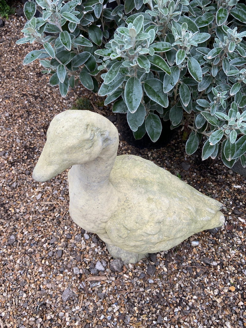 Stone Goose-Stone Garden DecorVintage Frog