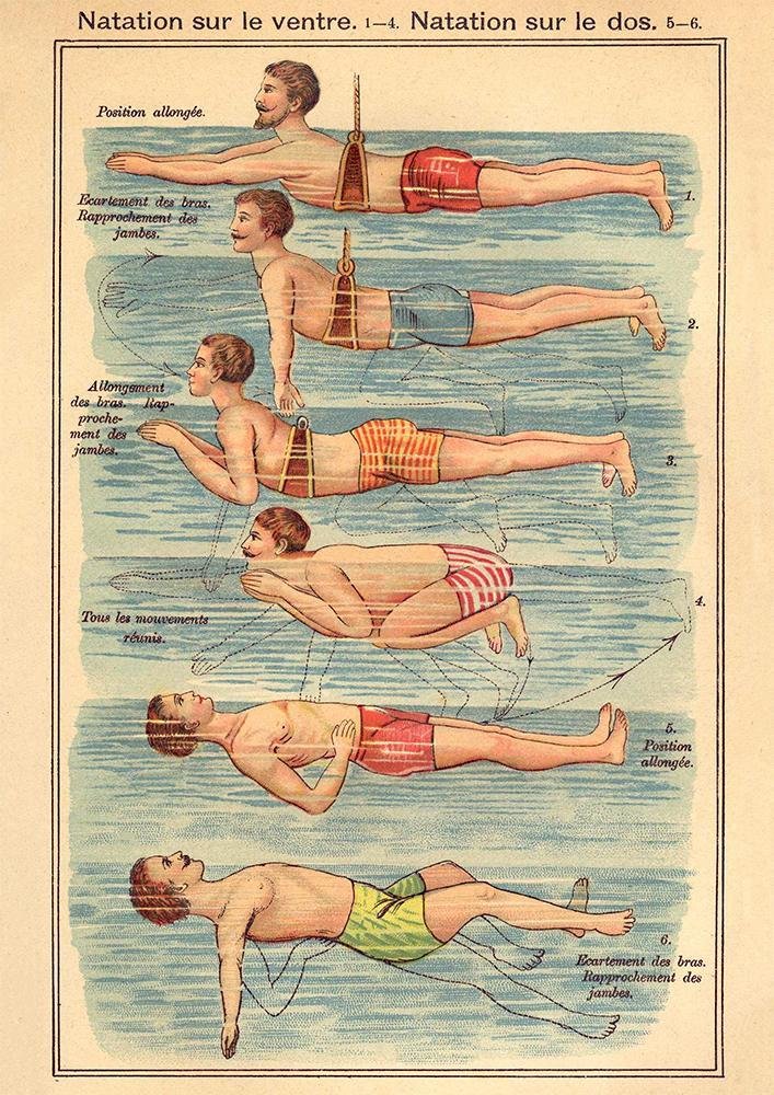 The Swimmer, Swimming Illustration Print On Canvas, Wall Hanging Decor PictureVintage FrogPictures & Prints