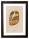 Tiger's Eye Gemstone Artwork Print. Framed Healing Crystal Wall Art PictureVintage Frog T/APictures & Prints