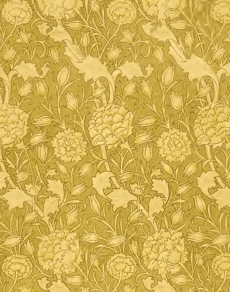 Tulip - William Morris Pattern Artwork Print. Framed Wall Art PictureVintage Frog T/APictures & Prints