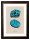 Turquoise Gemstone Artwork Print. Framed Healing Crystal Wall Art PictureVintage Frog T/APictures & Prints
