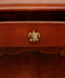 Turtle Knob, Brass Cabinet Handle, Furniture DecorDoing GoodsCabinet Handles