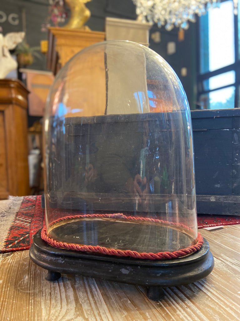 Victorian Glass Display Dome With Wooden BaseVintage FrogFurniture