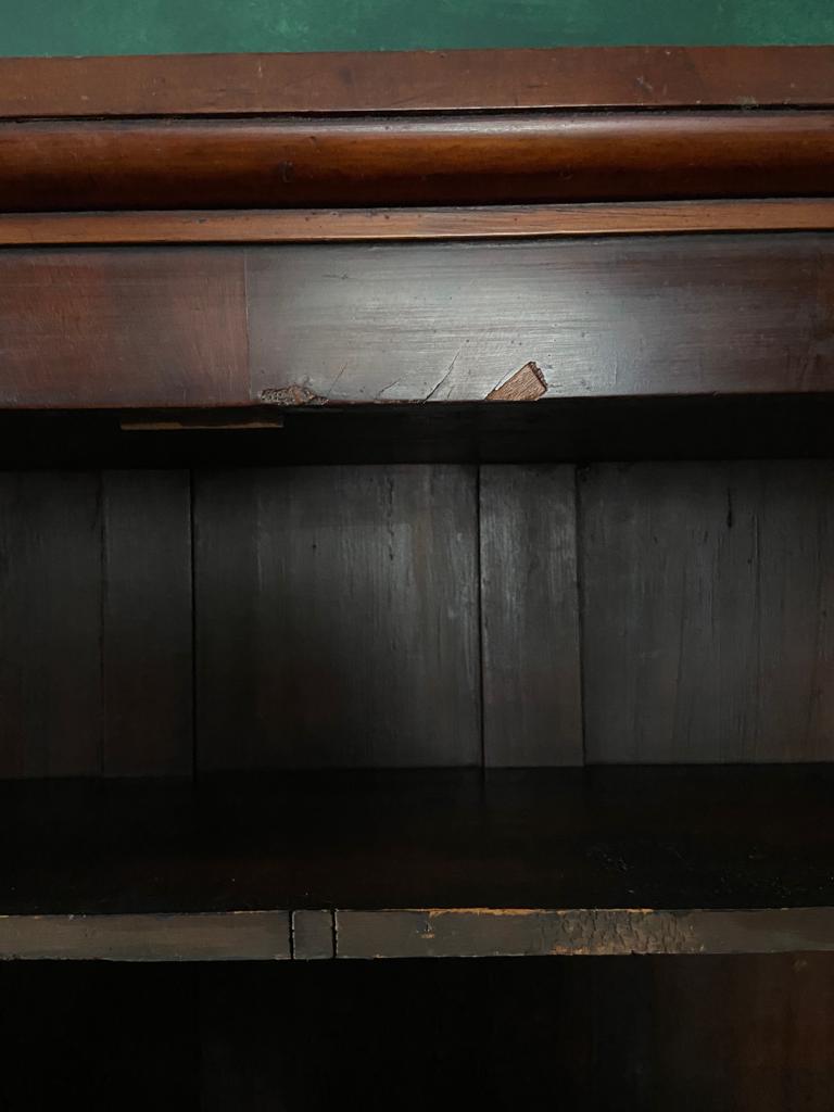 Victorian Glazed Dresser With Cupboards BelowVintage Frog