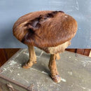 Vintage French Animal Hyde Covered Stool, Decorative StandVintage FrogVintage Item