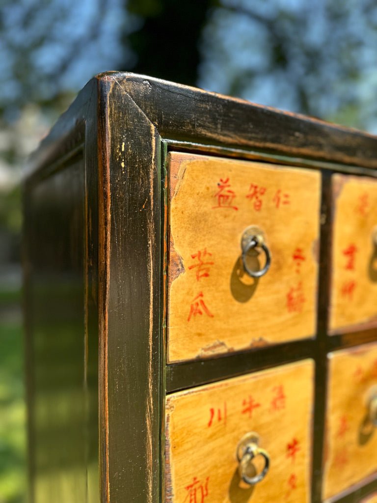 Vintage Multi Drawer Chinese Apothecary Medicine Cabinet with 33 DrawersVintage FrogFurniture