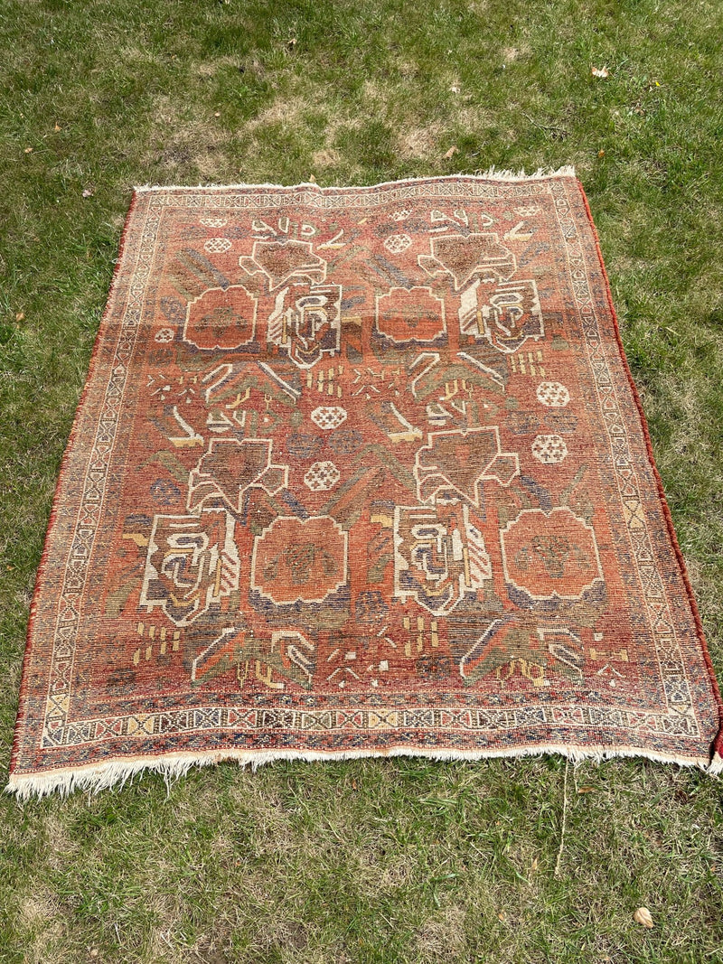 Vintage Persian Style Knotted RugVintage Frog