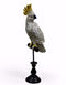 White Cockatoo Parrot on Perch FigureVintage FrogBrand New